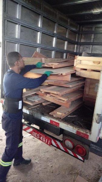 Destinação de madeira